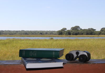 View from Wasa Lodge